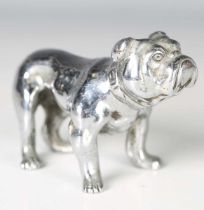 A chromium plated cast metal car mascot in the form of a standing bulldog, length 10cm.