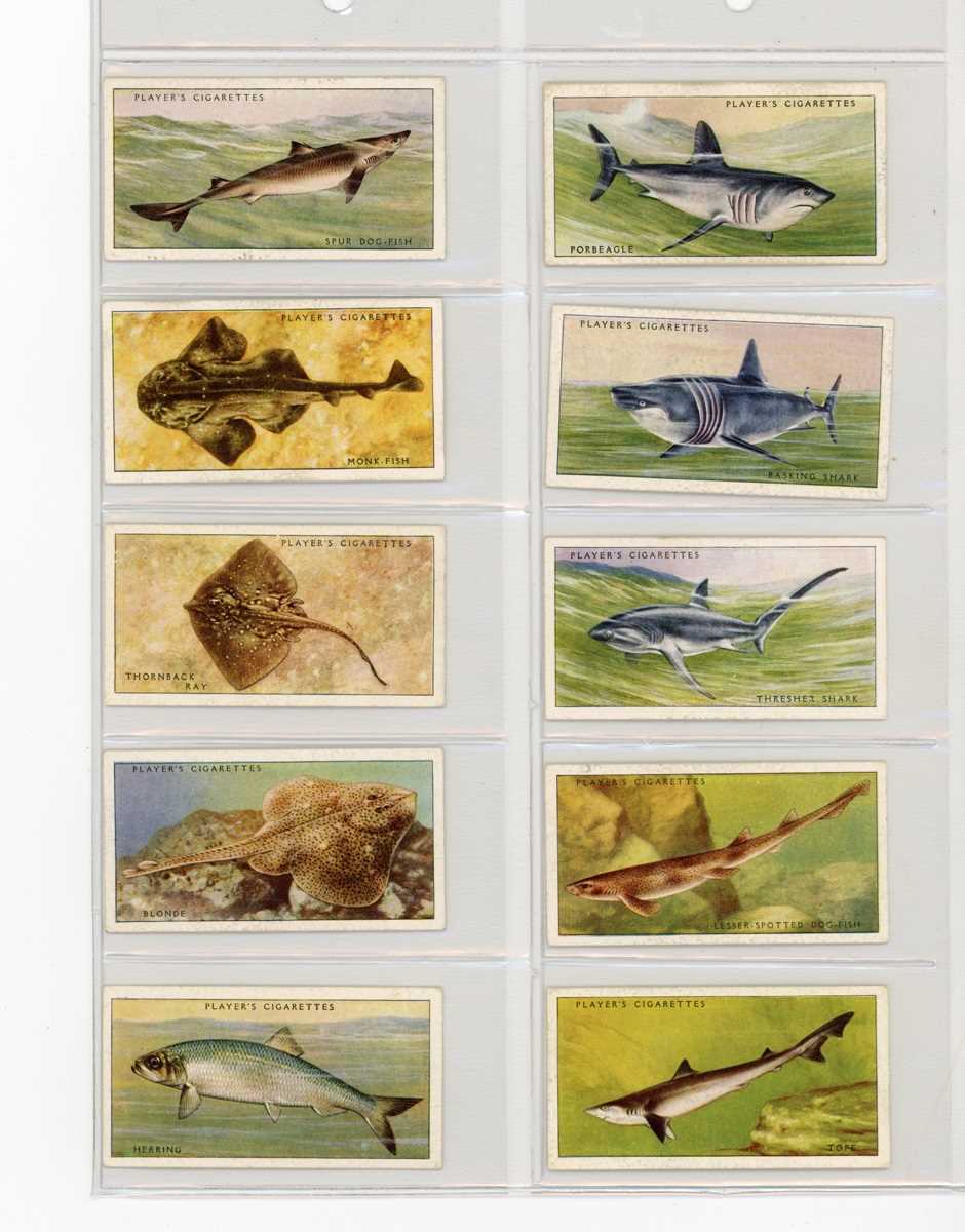 A large collection of cigarette and trade cards in 38 albums, including a set of 25 Players ‘British - Bild 6 aus 7