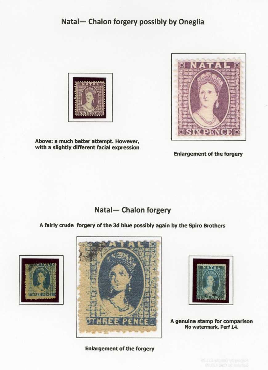 Chalon heads specialized stamp collection of genuine stamps, proofs, forgeries well written up in an - Image 11 of 22
