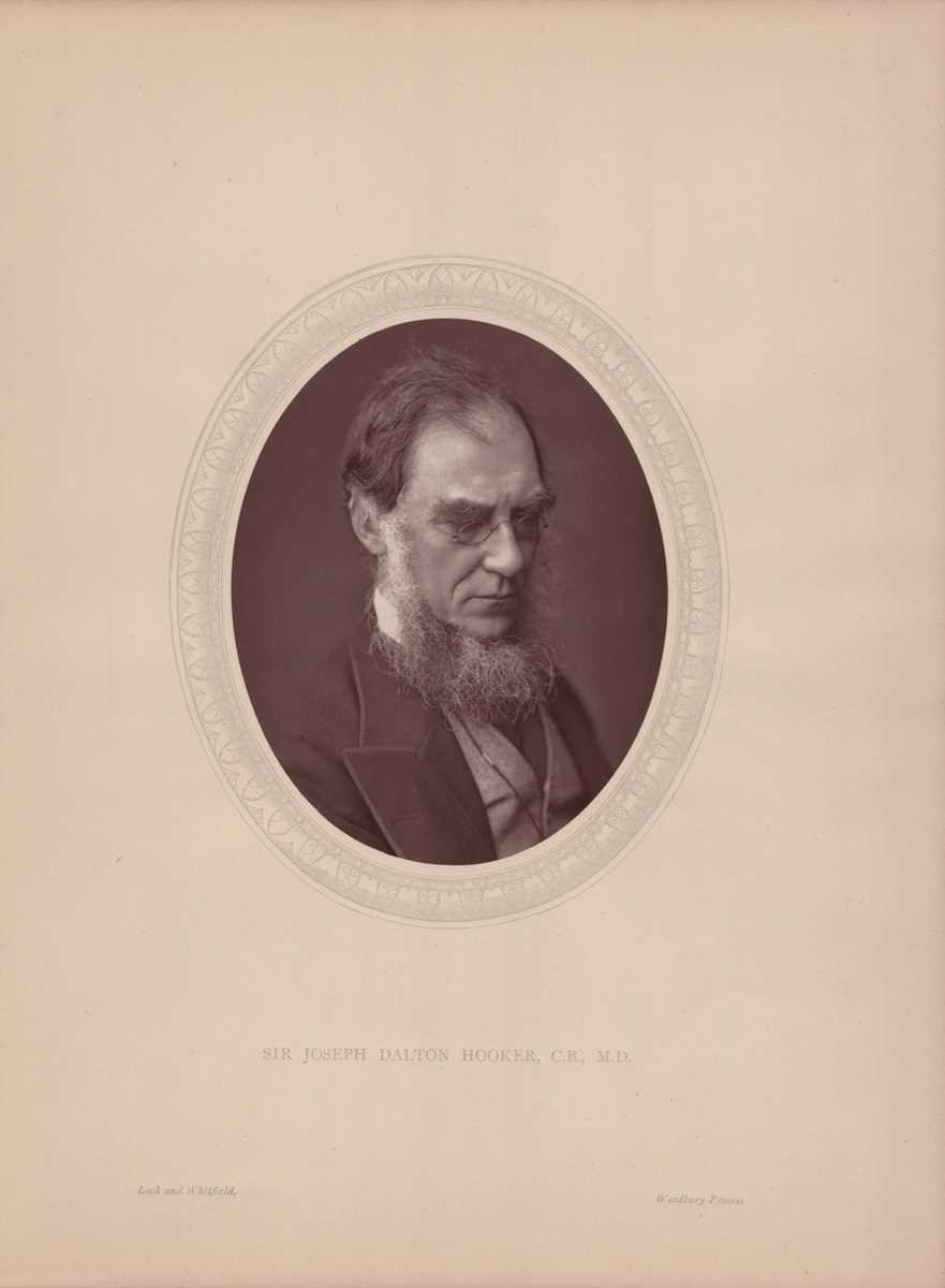 PHOTOGRAPHS. A collection of 4 woodburytype photographs, all portraits of distinguished men from the - Bild 3 aus 8