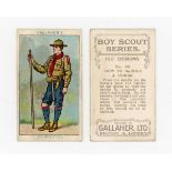 A collection of Gallaher cigarette cards in eight albums, including a set of 50 ‘Lawn Tennis