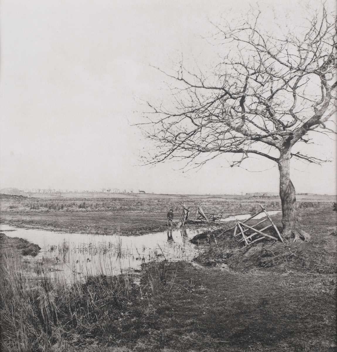 PHOTOGRAPH. A black and white photogravure by Peter Henry Emerson, known as ‘Leafless March, [