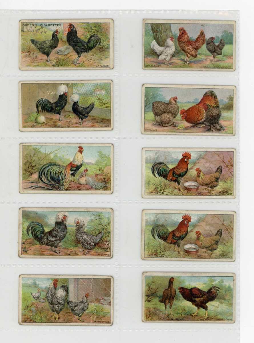 A large collection of cigarette and trade cards in 38 albums, including a part-set of 24 (of 25 - Image 2 of 6