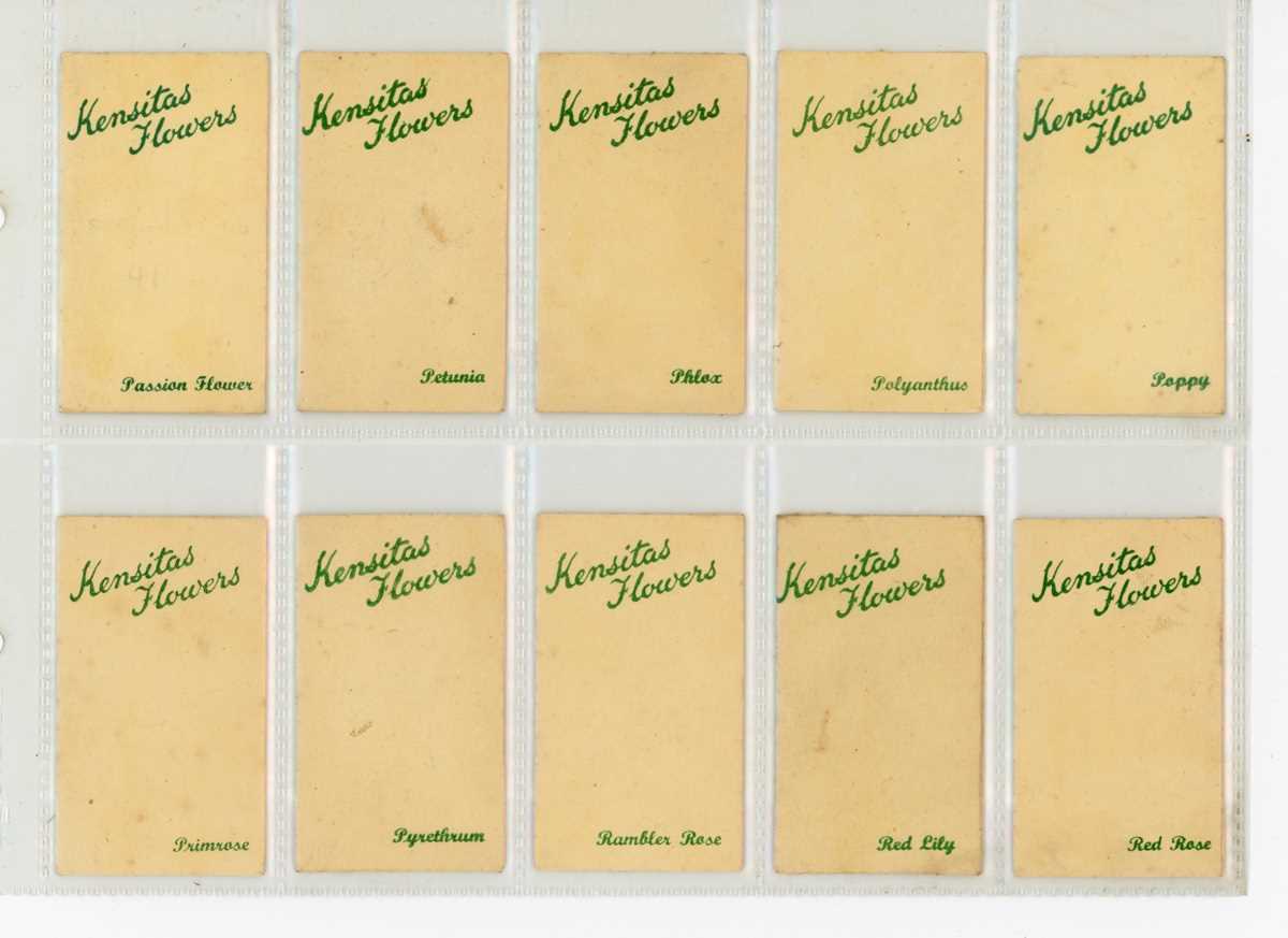 A collection of Wix cigarette cards in three albums, including a set of 60 ‘Kensitas Flowers’ in - Image 7 of 11