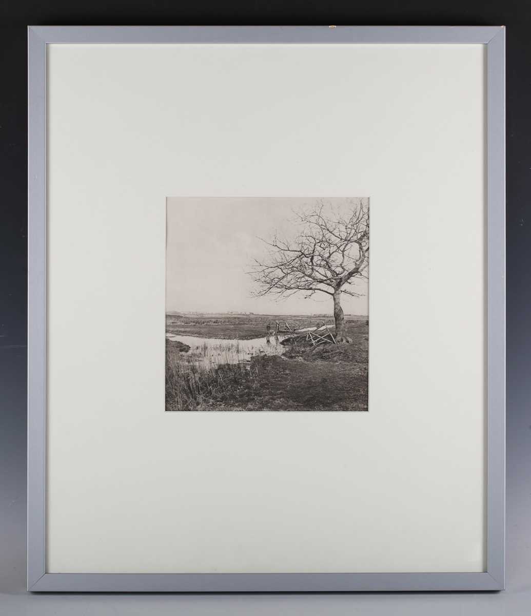 PHOTOGRAPH. A black and white photogravure by Peter Henry Emerson, known as ‘Leafless March, [ - Image 2 of 5