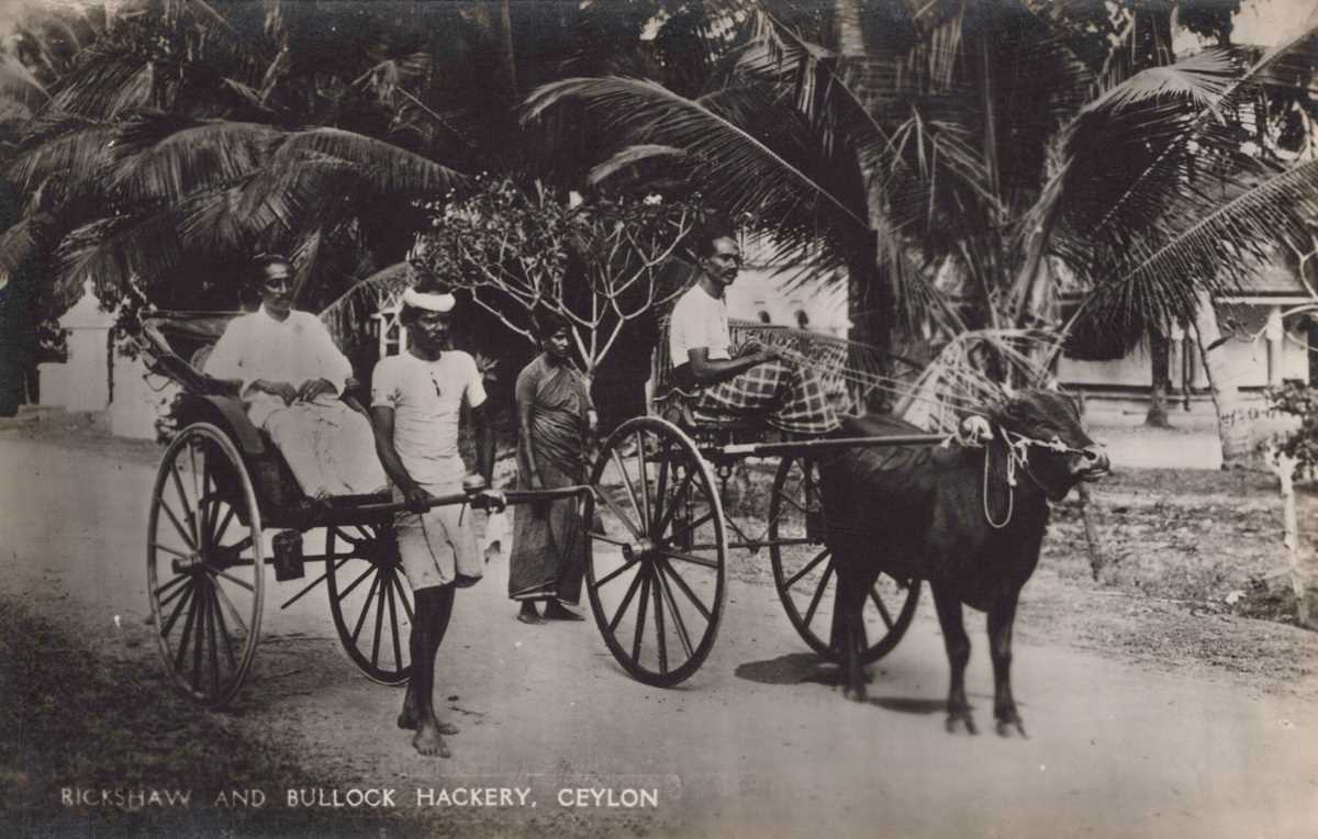A collection of 41 postcards, the majority views of Ceylon (Sri Lanka) and Bombay, together with a - Bild 2 aus 7