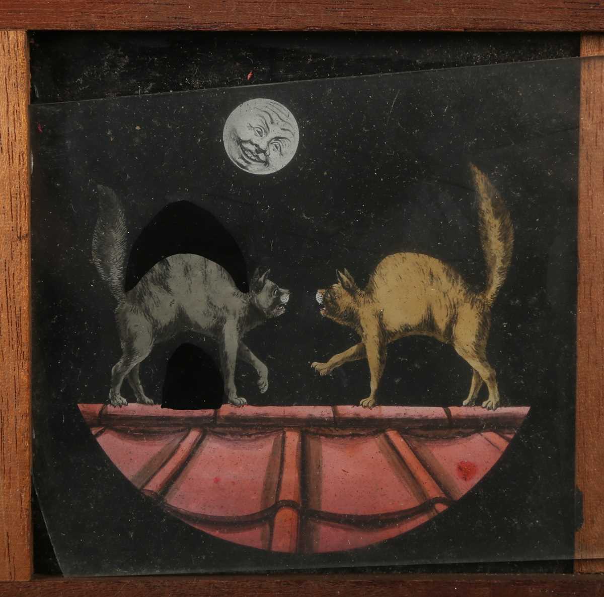 PHOTOGRAPHS. A magic lantern slide of two cats, slide 8.5cm x 8.5 cm, together with a collection