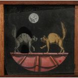 PHOTOGRAPHS. A magic lantern slide of two cats, slide 8.5cm x 8.5 cm, together with a collection