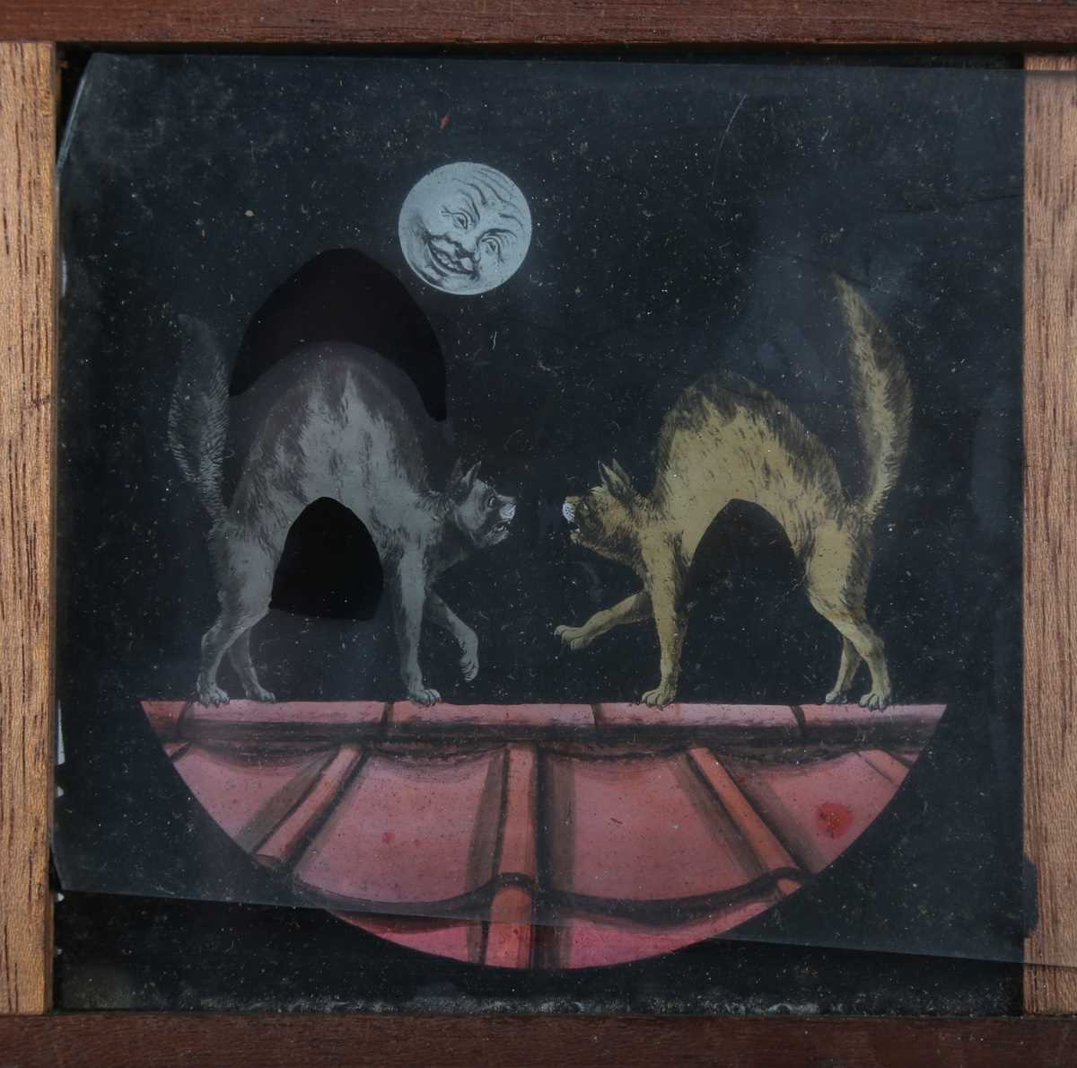 PHOTOGRAPHS. A magic lantern slide of two cats, slide 8.5cm x 8.5 cm, together with a collection - Image 2 of 12