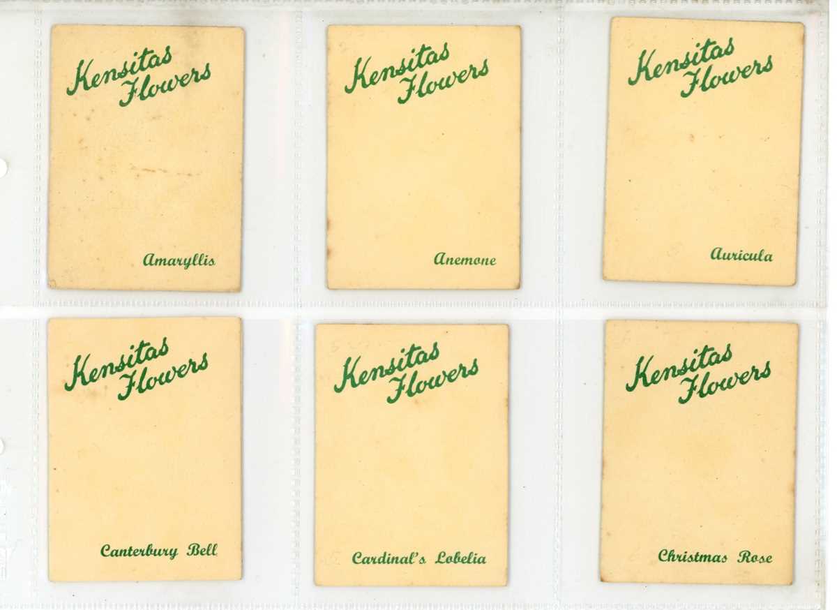 A collection of Wix cigarette cards in three albums, including a set of 60 ‘Kensitas Flowers’ in - Image 10 of 11
