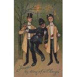 Two albums containing approximately 1005 postcards featuring policemen, the majority comic/