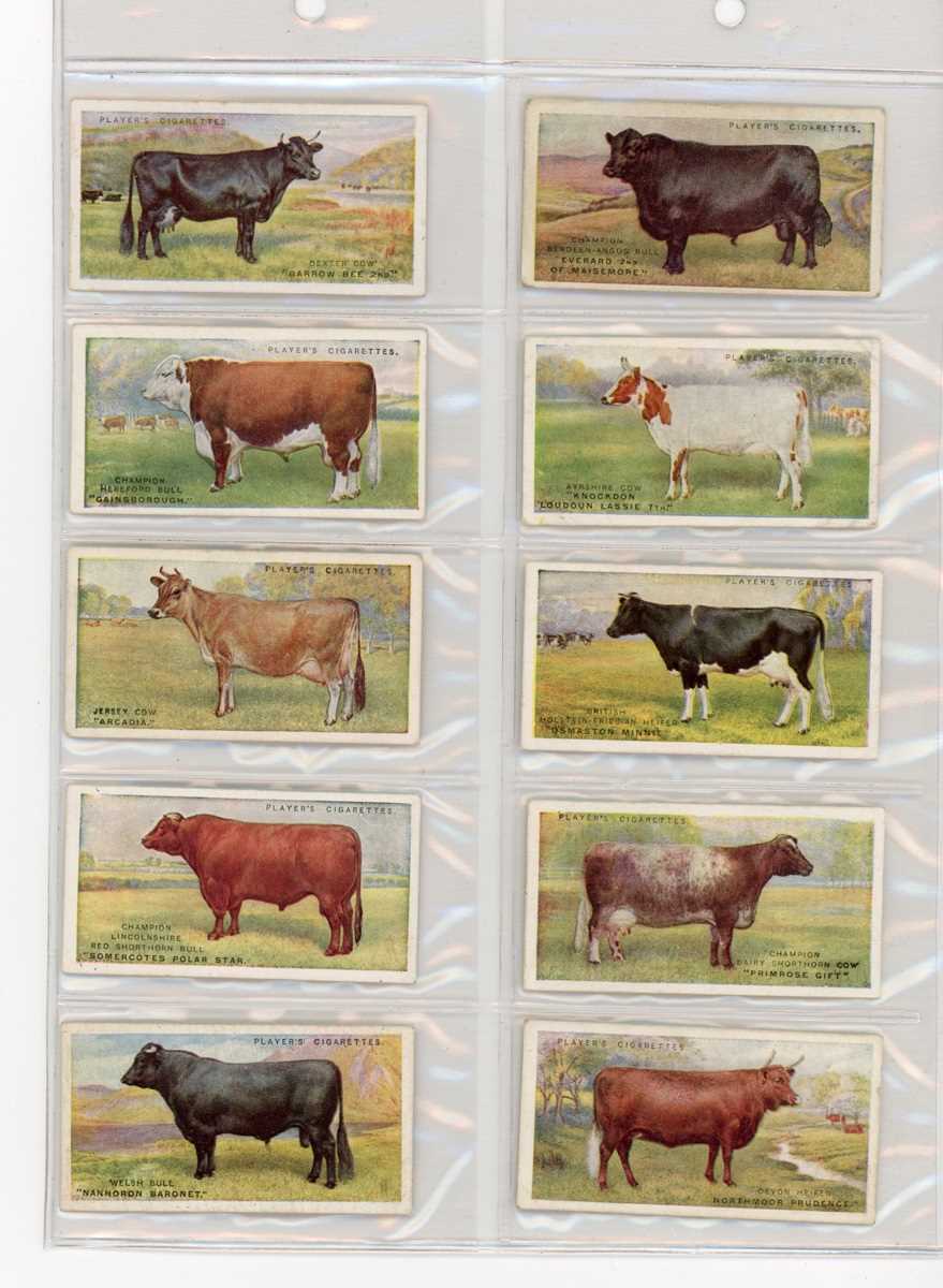 A large collection of cigarette and trade cards in 38 albums, including a set of 25 Players ‘British - Bild 2 aus 7