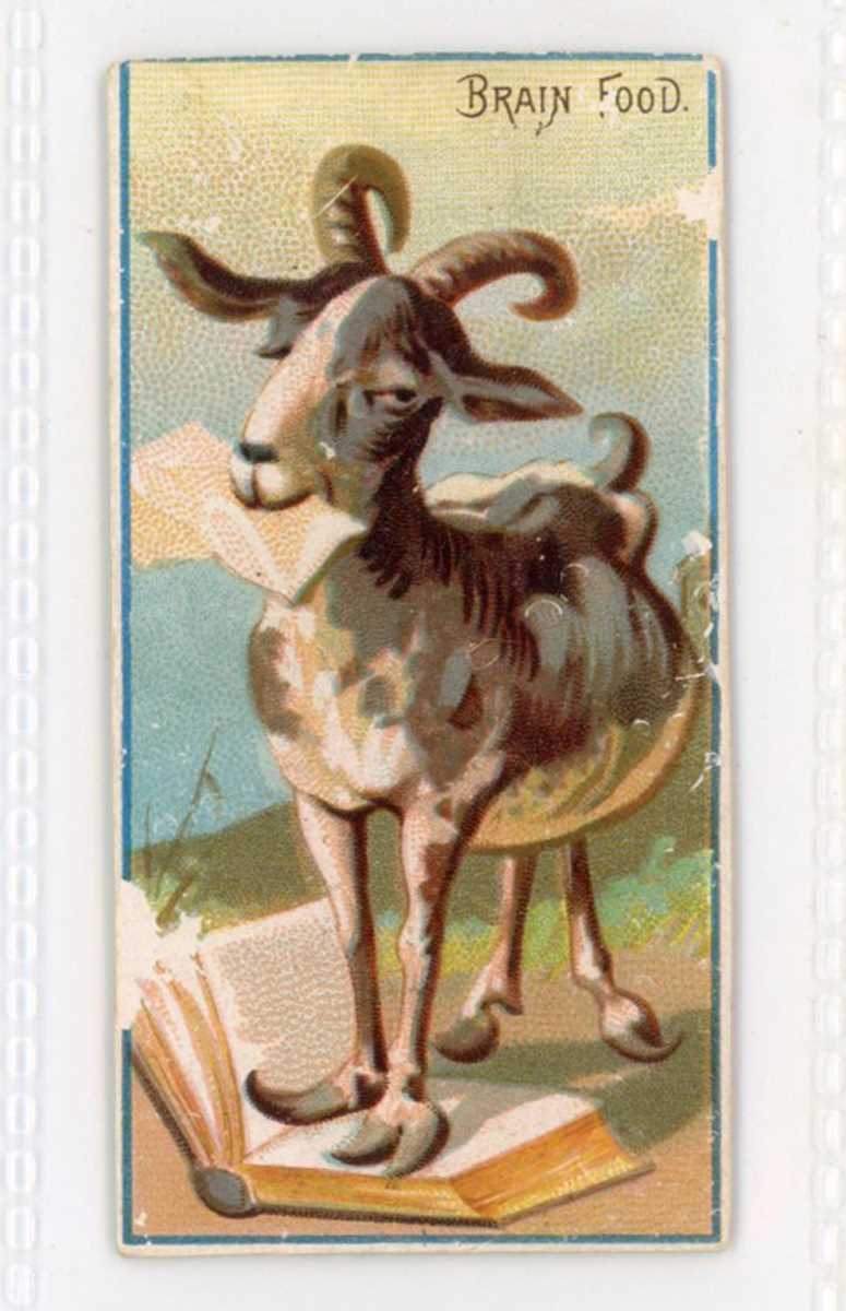 A collection of approximately 110 American cigarette cards, including 11 Moore & Calvi large size ‘ - Image 8 of 12