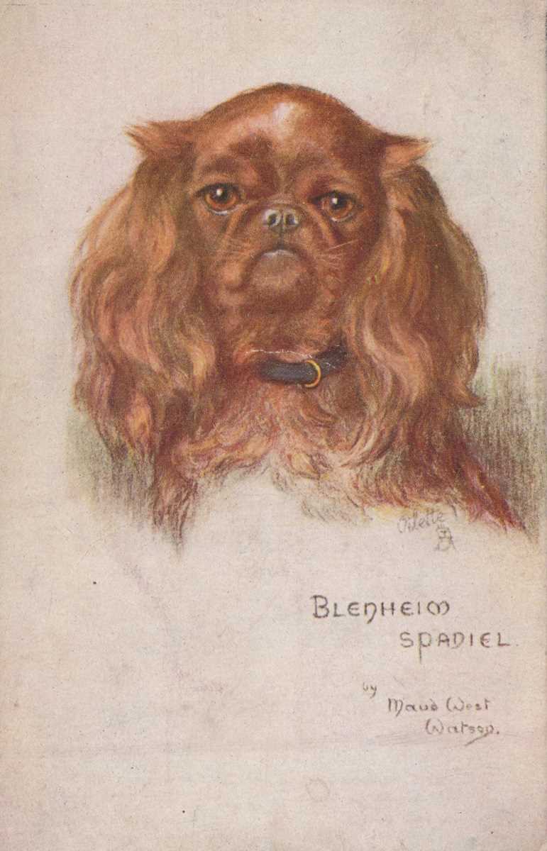 A collection of approximately 108 postcards featuring animals, including dogs and cats. - Bild 6 aus 6