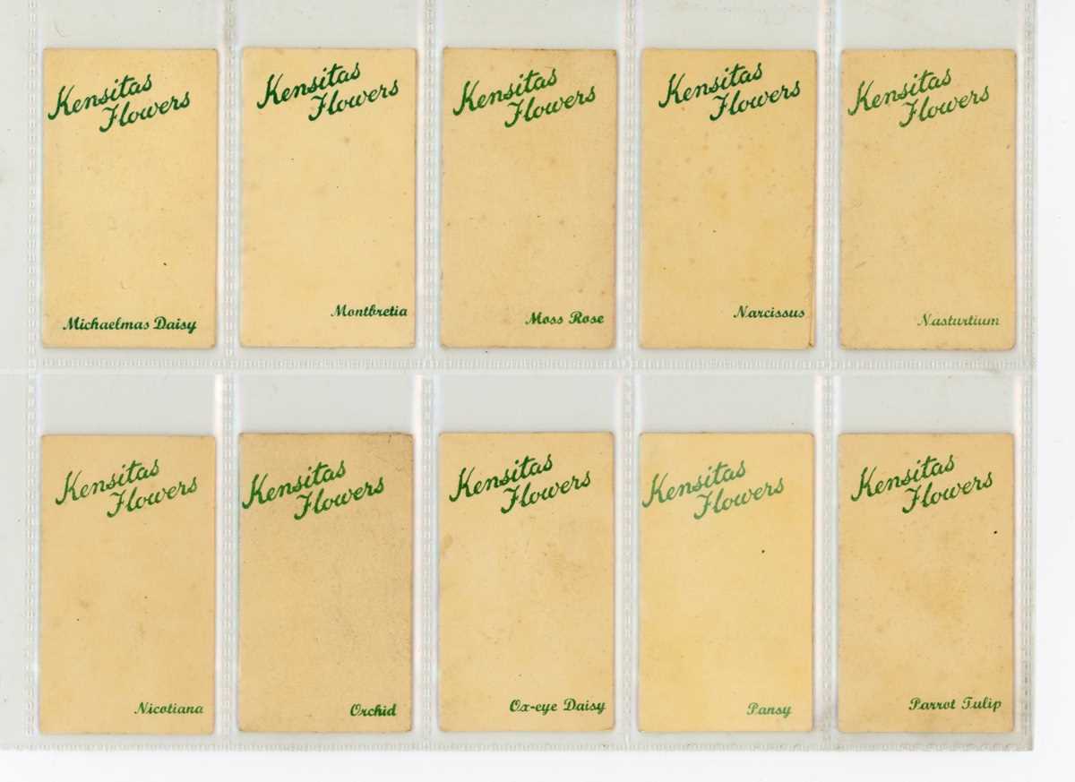 A collection of Wix cigarette cards in three albums, including a set of 60 ‘Kensitas Flowers’ in - Image 6 of 11