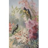 A collection of 46 postcards featuring birds and insects including artist postcards.