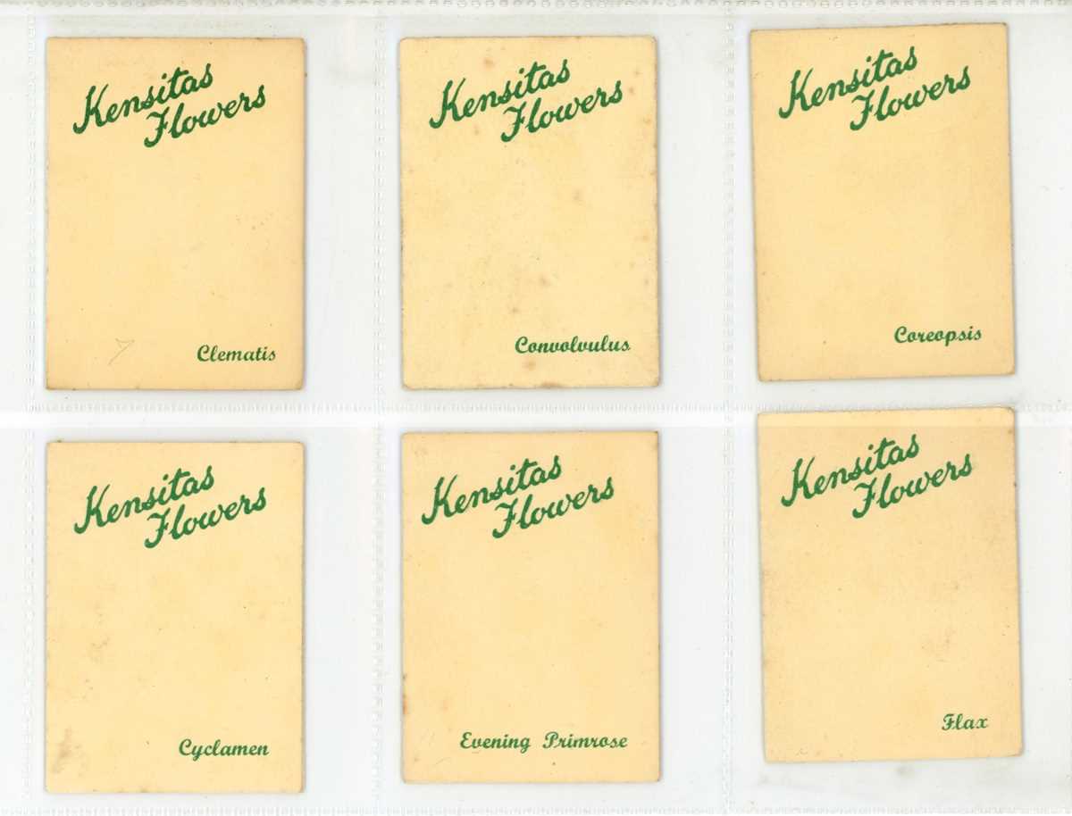 A collection of Wix cigarette cards in three albums, including a set of 60 ‘Kensitas Flowers’ in - Image 11 of 11