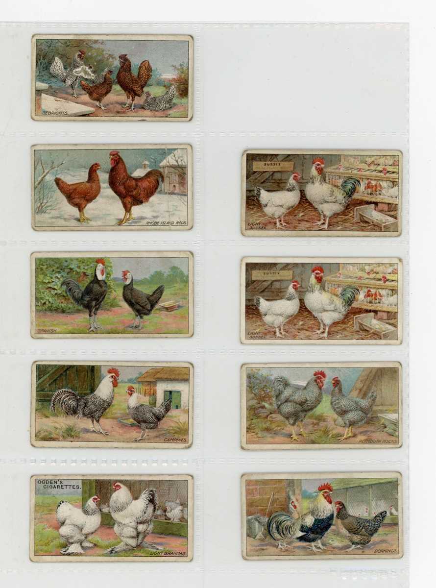 A large collection of cigarette and trade cards in 38 albums, including a part-set of 24 (of 25 - Image 4 of 6
