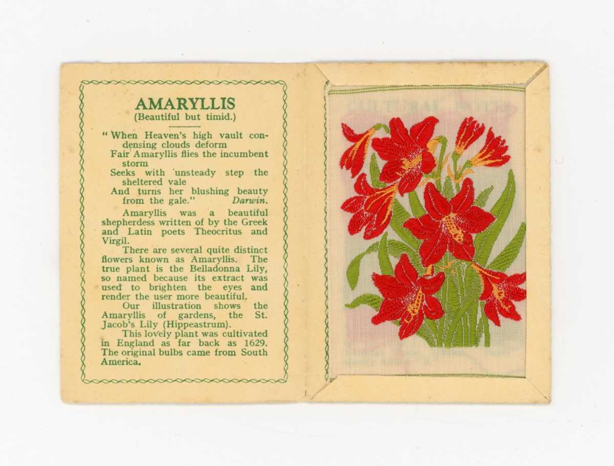 A collection of Wix cigarette cards in three albums, including a set of 60 ‘Kensitas Flowers’ in - Image 9 of 11
