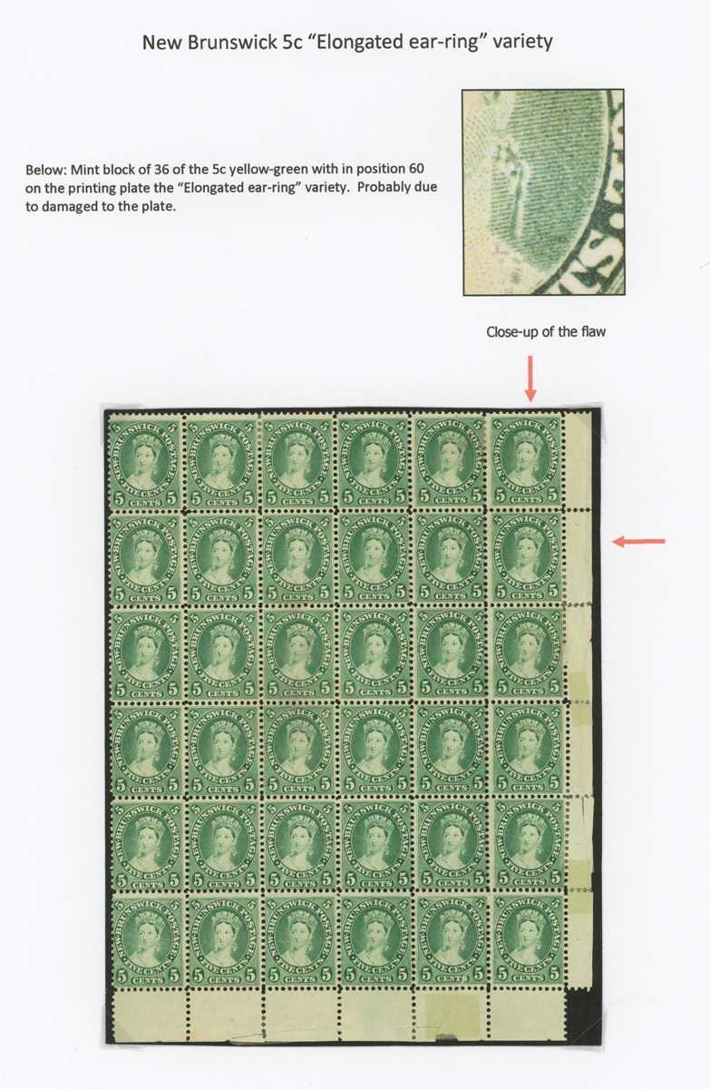 Chalon heads specialized stamp collection of genuine stamps, proofs, forgeries well written up in an - Image 15 of 22