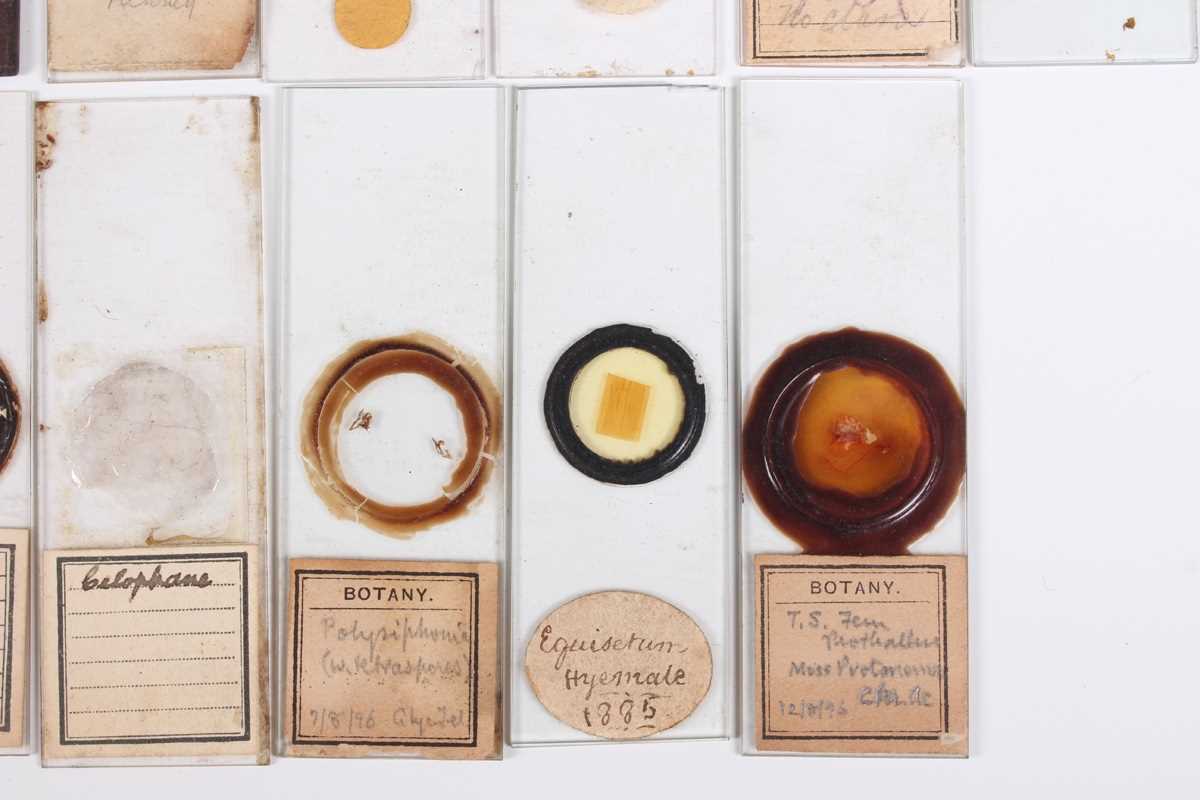 A collection of ninety-seven microscope specimen slides, late Victorian and later, including - Image 25 of 26