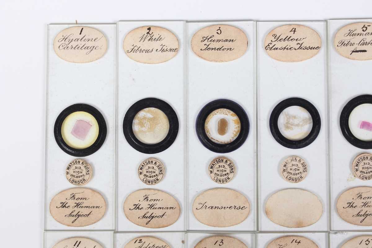 A collection of ninety-seven microscope specimen slides, late Victorian and later, including - Image 11 of 26