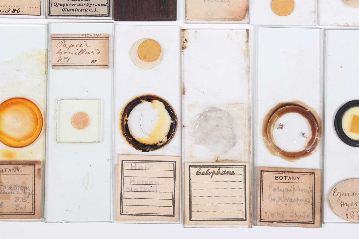 A collection of ninety-seven microscope specimen slides, late Victorian and later, including - Image 24 of 26