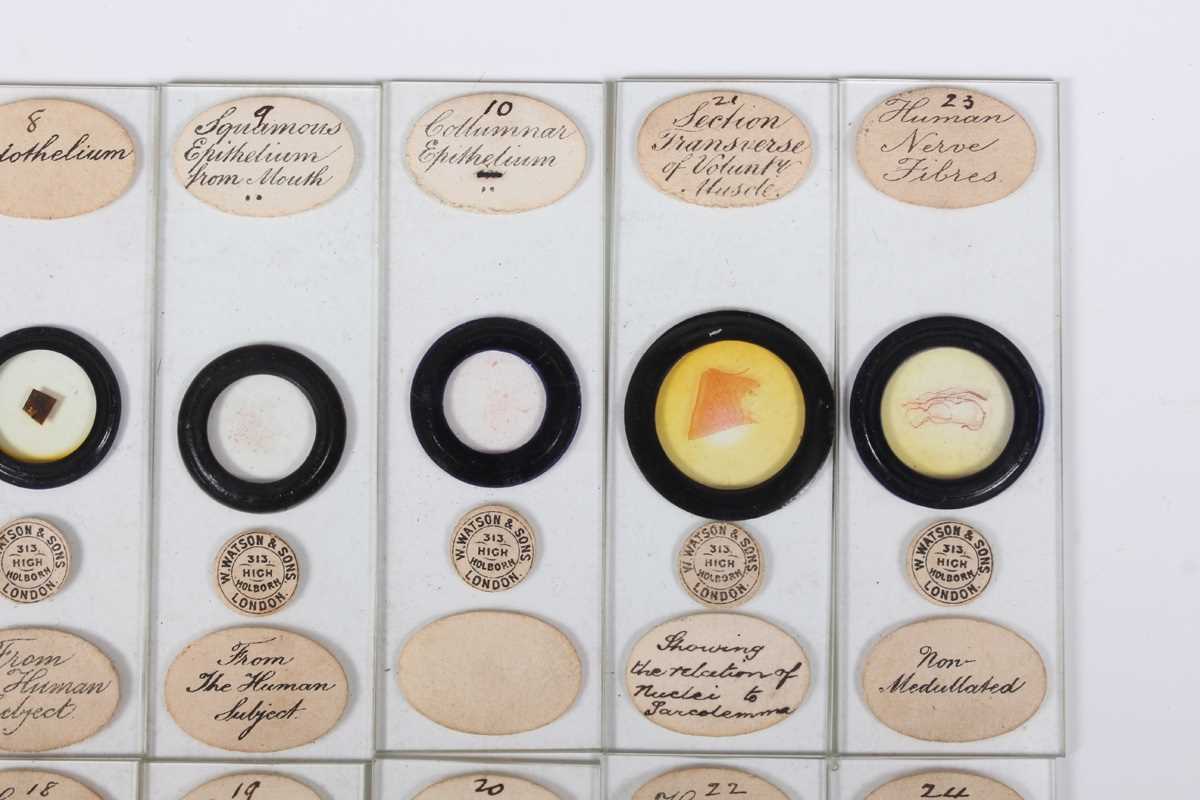 A collection of ninety-seven microscope specimen slides, late Victorian and later, including - Image 13 of 26