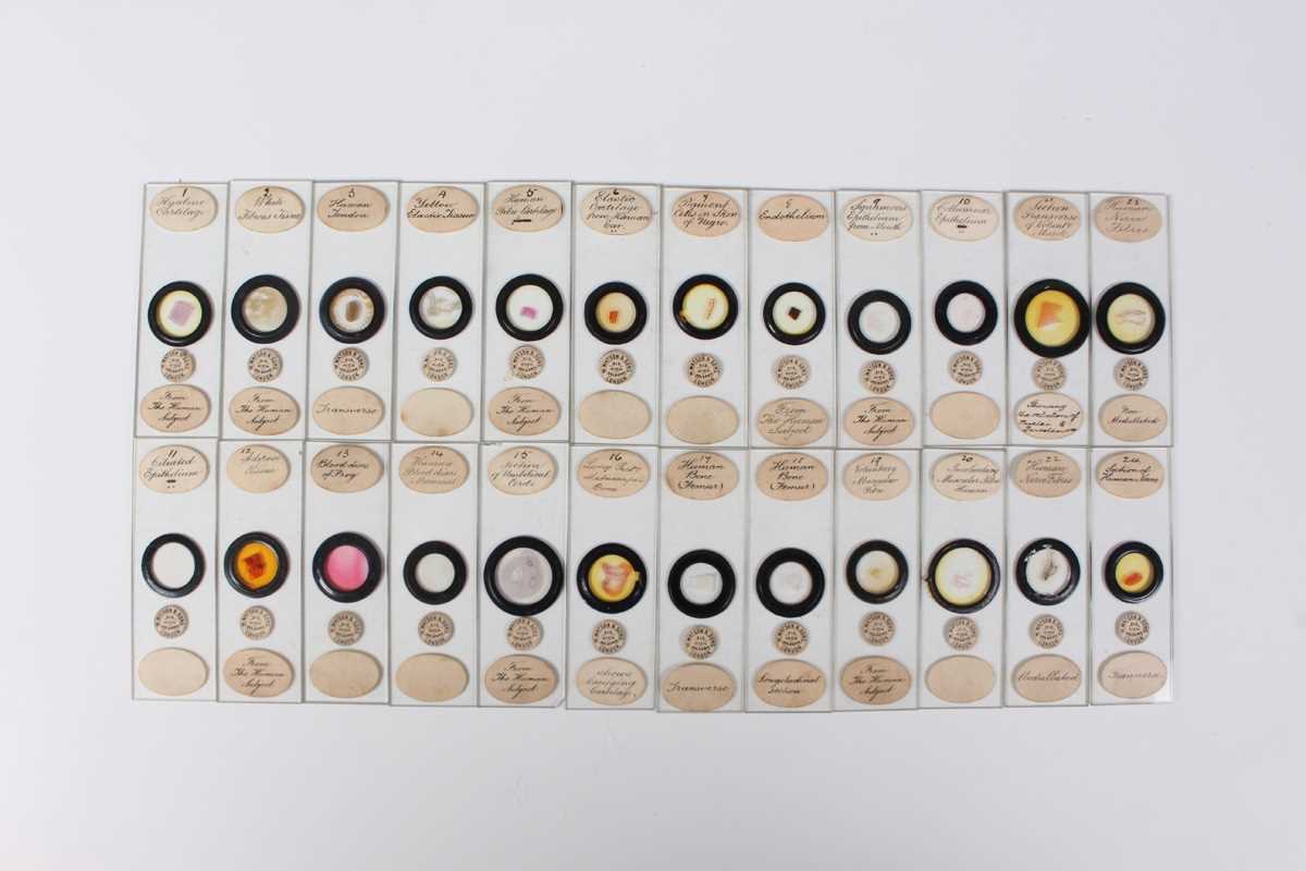 A collection of ninety-seven microscope specimen slides, late Victorian and later, including - Image 10 of 26