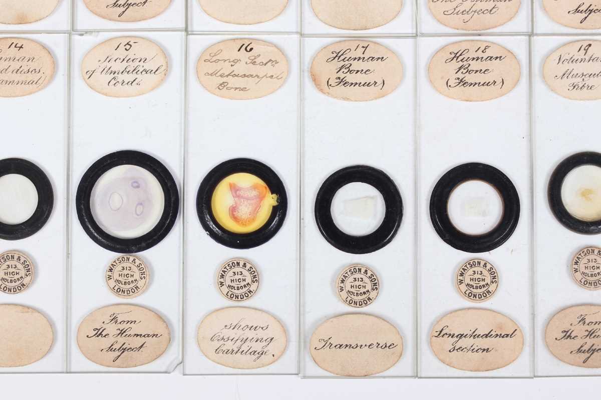 A collection of ninety-seven microscope specimen slides, late Victorian and later, including - Image 15 of 26