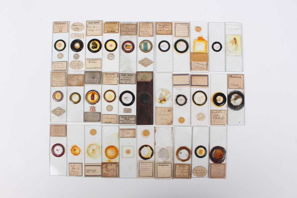 A collection of ninety-seven microscope specimen slides, late Victorian and later, including - Image 17 of 26