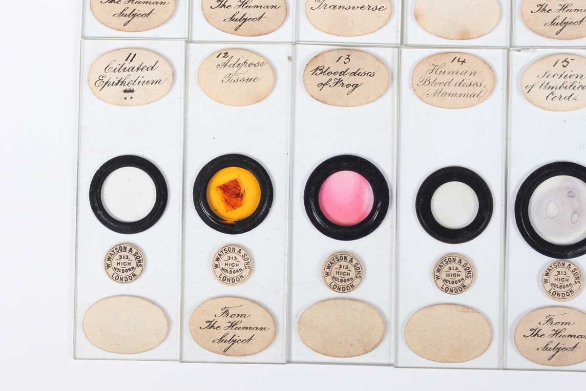 A collection of ninety-seven microscope specimen slides, late Victorian and later, including - Image 14 of 26