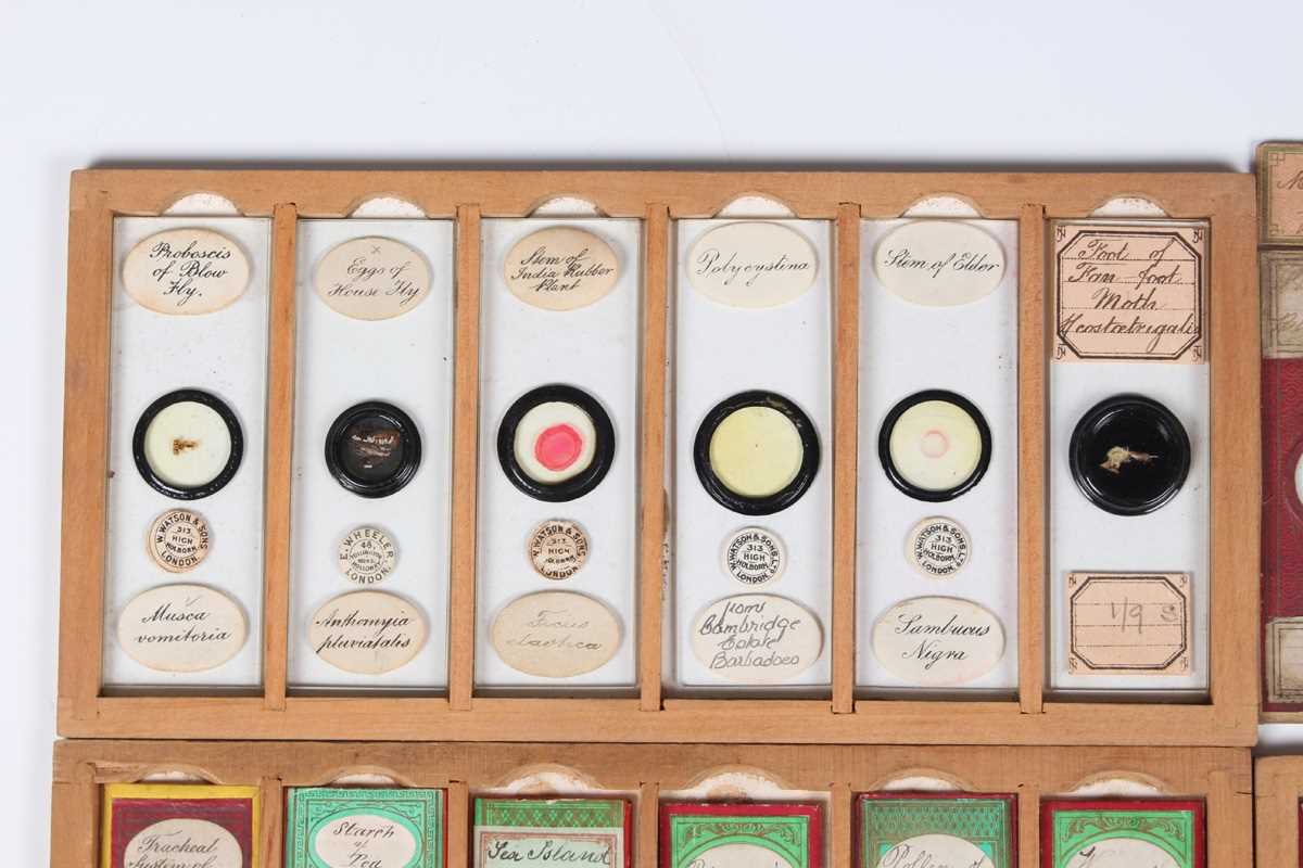 A collection of ninety-seven microscope specimen slides, late Victorian and later, including - Image 4 of 26