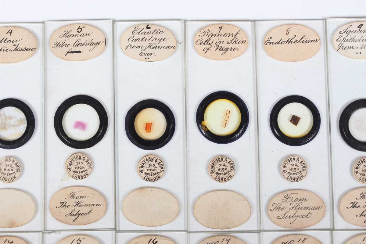 A collection of ninety-seven microscope specimen slides, late Victorian and later, including - Image 12 of 26