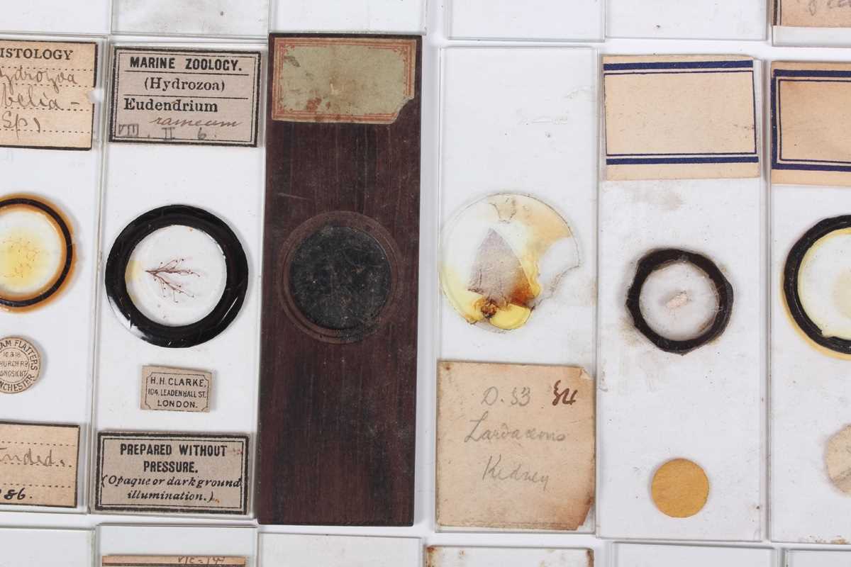 A collection of ninety-seven microscope specimen slides, late Victorian and later, including - Image 22 of 26