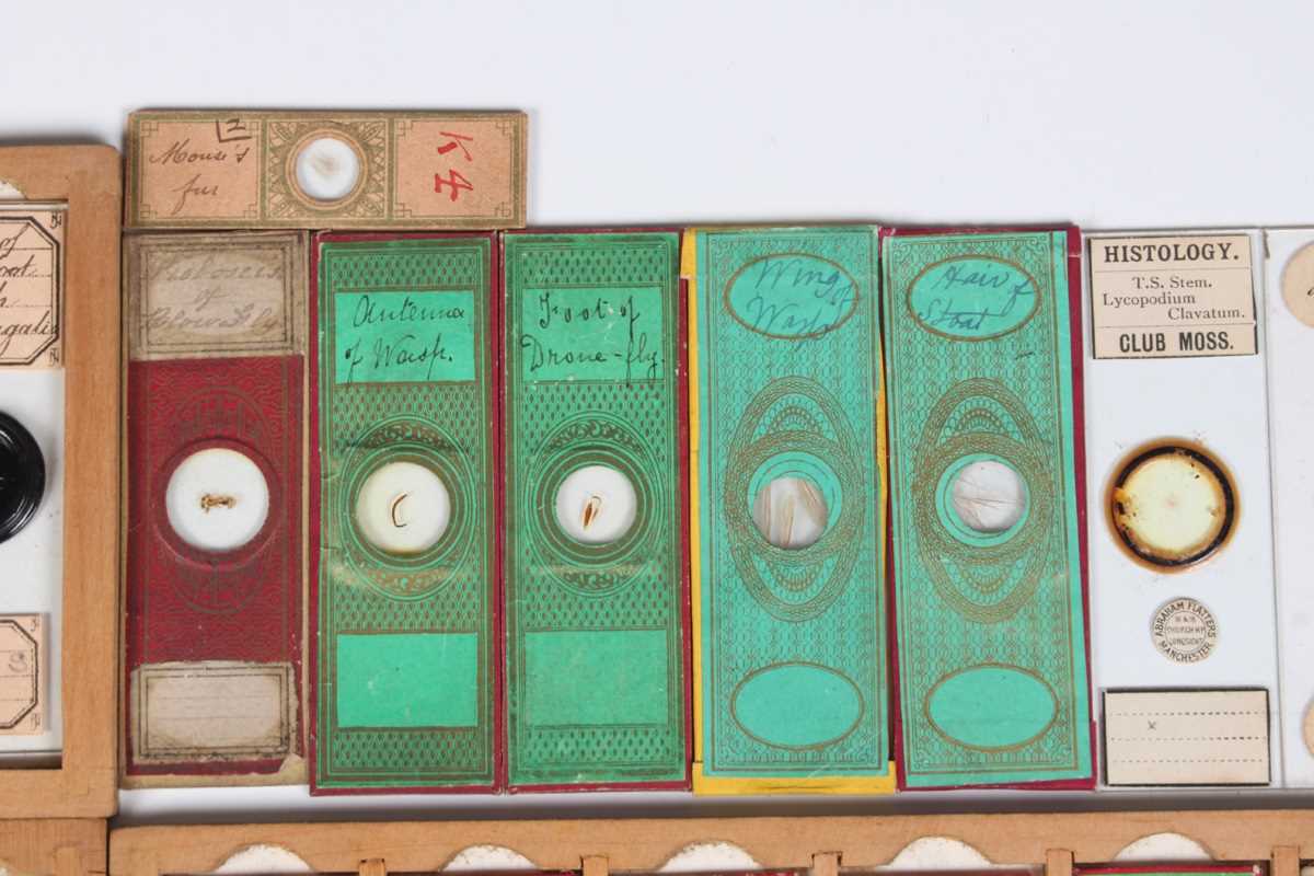 A collection of ninety-seven microscope specimen slides, late Victorian and later, including - Image 7 of 26
