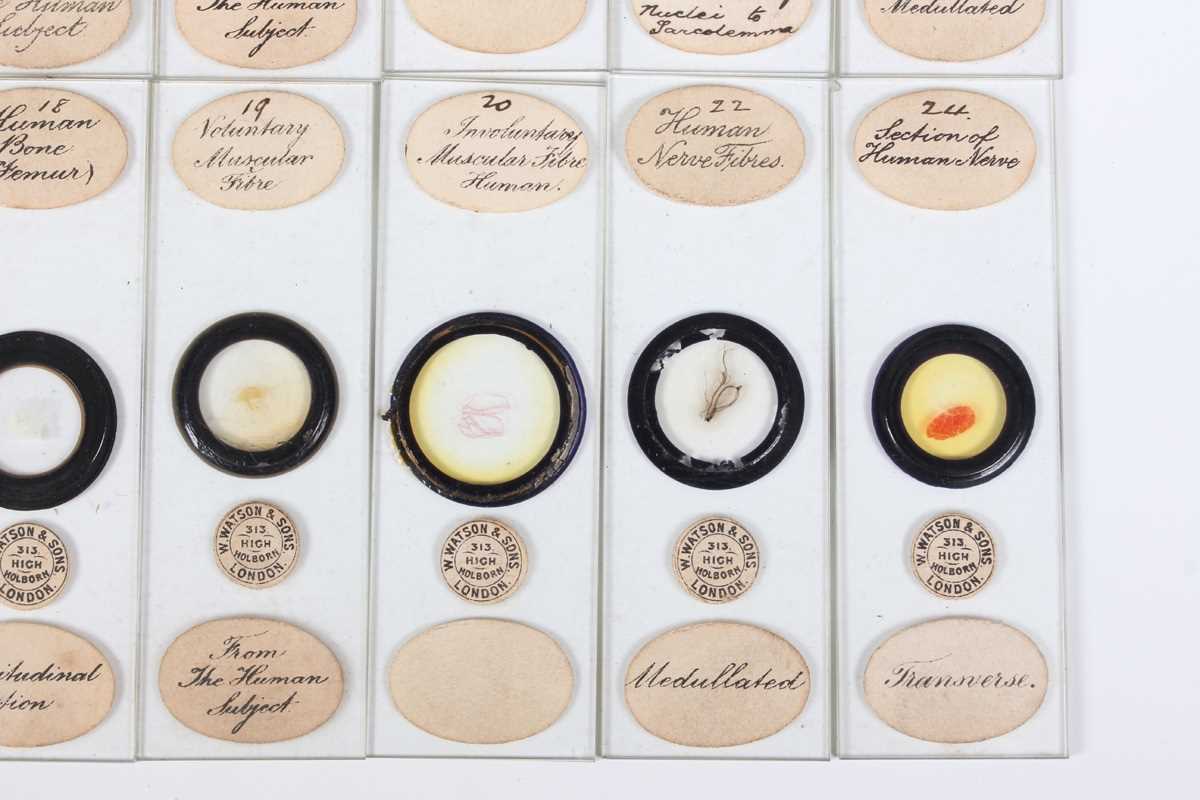 A collection of ninety-seven microscope specimen slides, late Victorian and later, including - Image 16 of 26