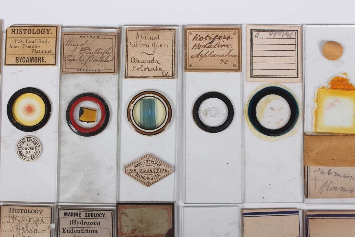 A collection of ninety-seven microscope specimen slides, late Victorian and later, including - Image 19 of 26