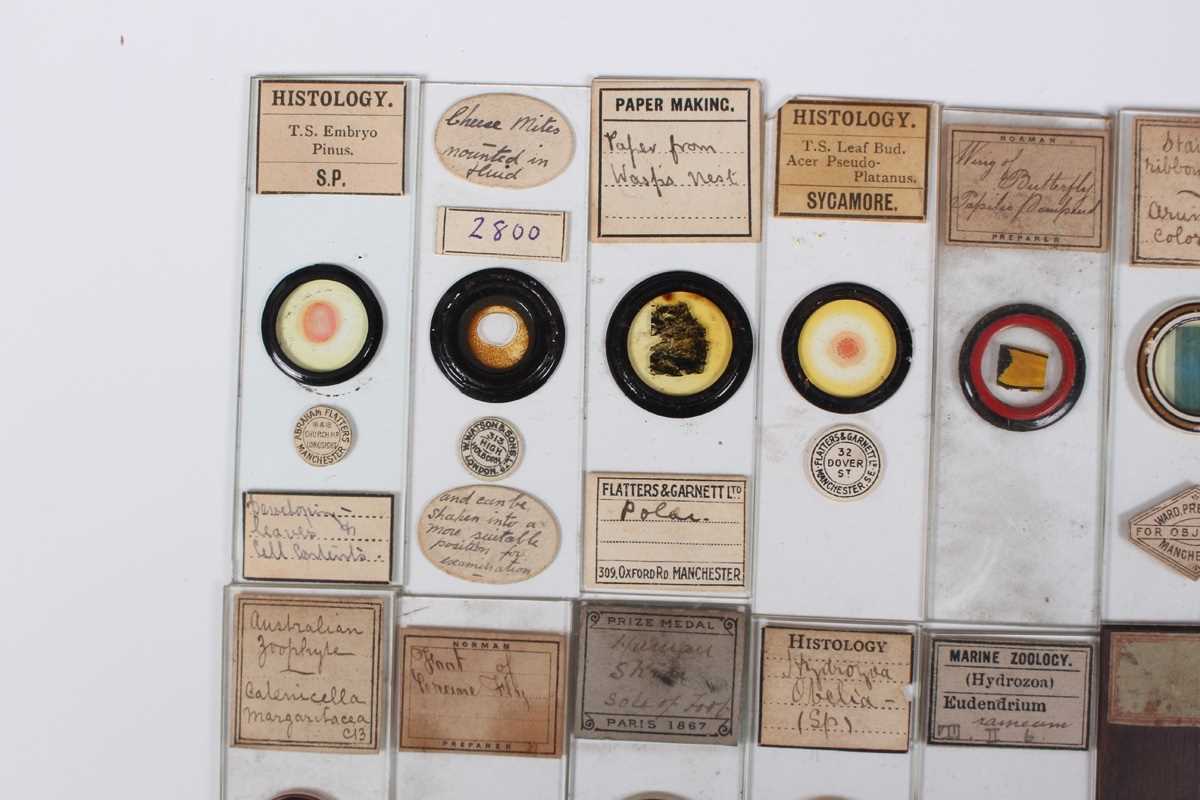 A collection of ninety-seven microscope specimen slides, late Victorian and later, including - Image 18 of 26