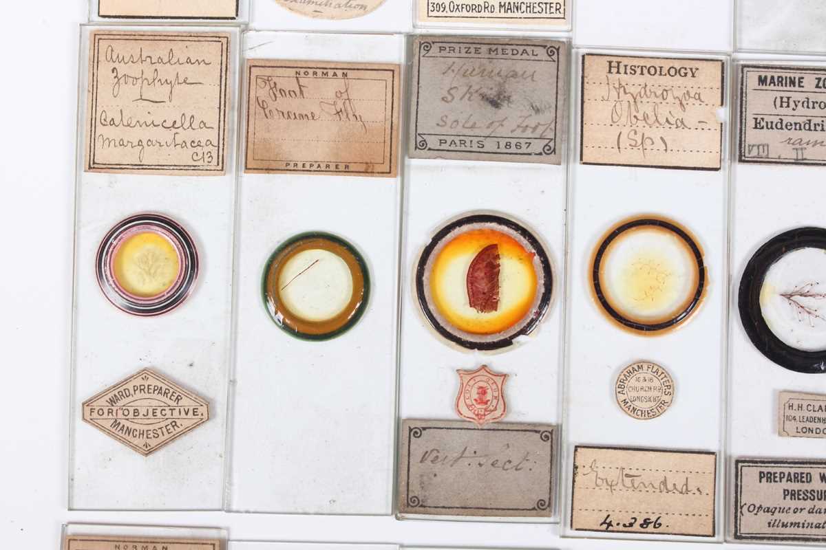 A collection of ninety-seven microscope specimen slides, late Victorian and later, including - Image 21 of 26