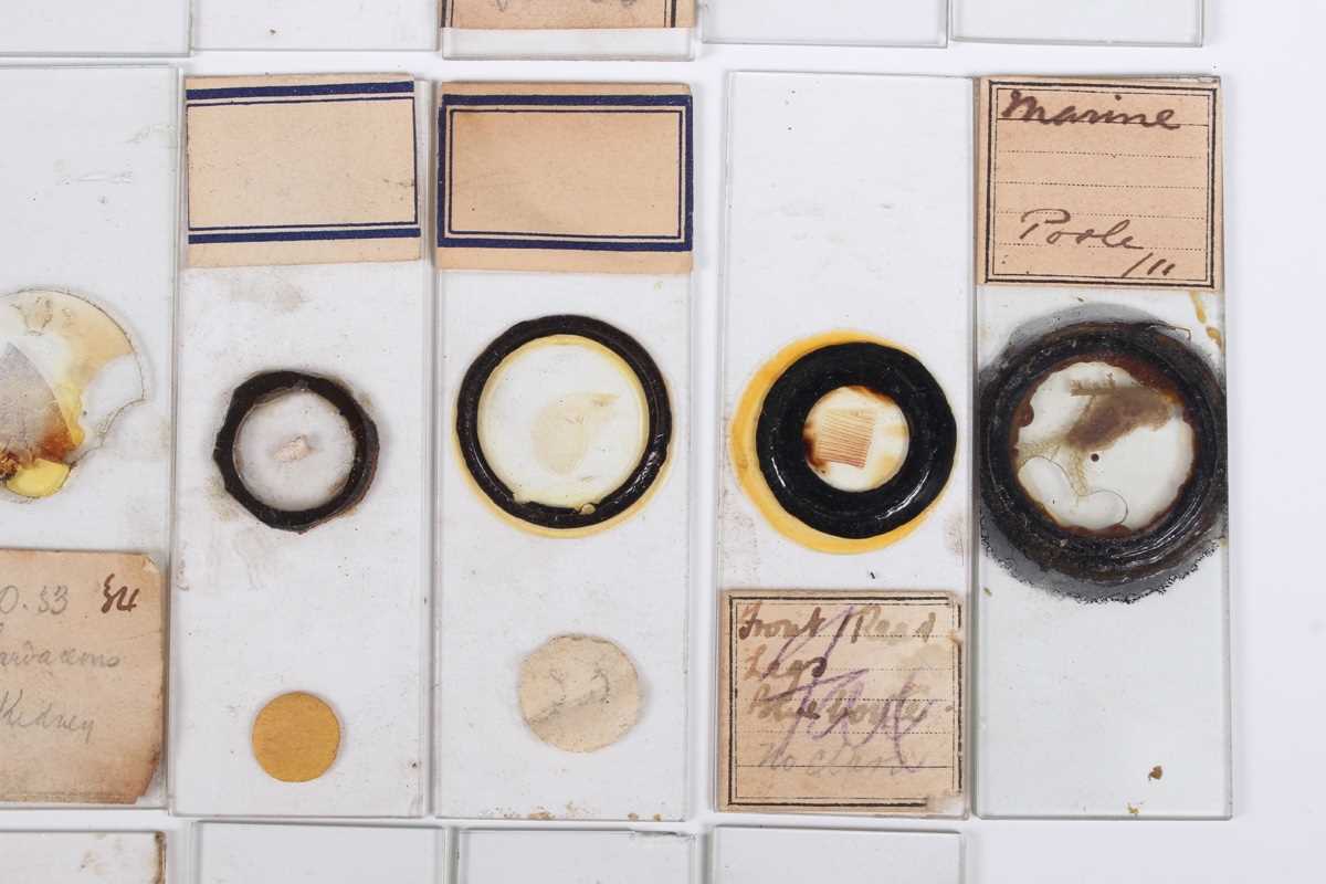 A collection of ninety-seven microscope specimen slides, late Victorian and later, including - Image 23 of 26