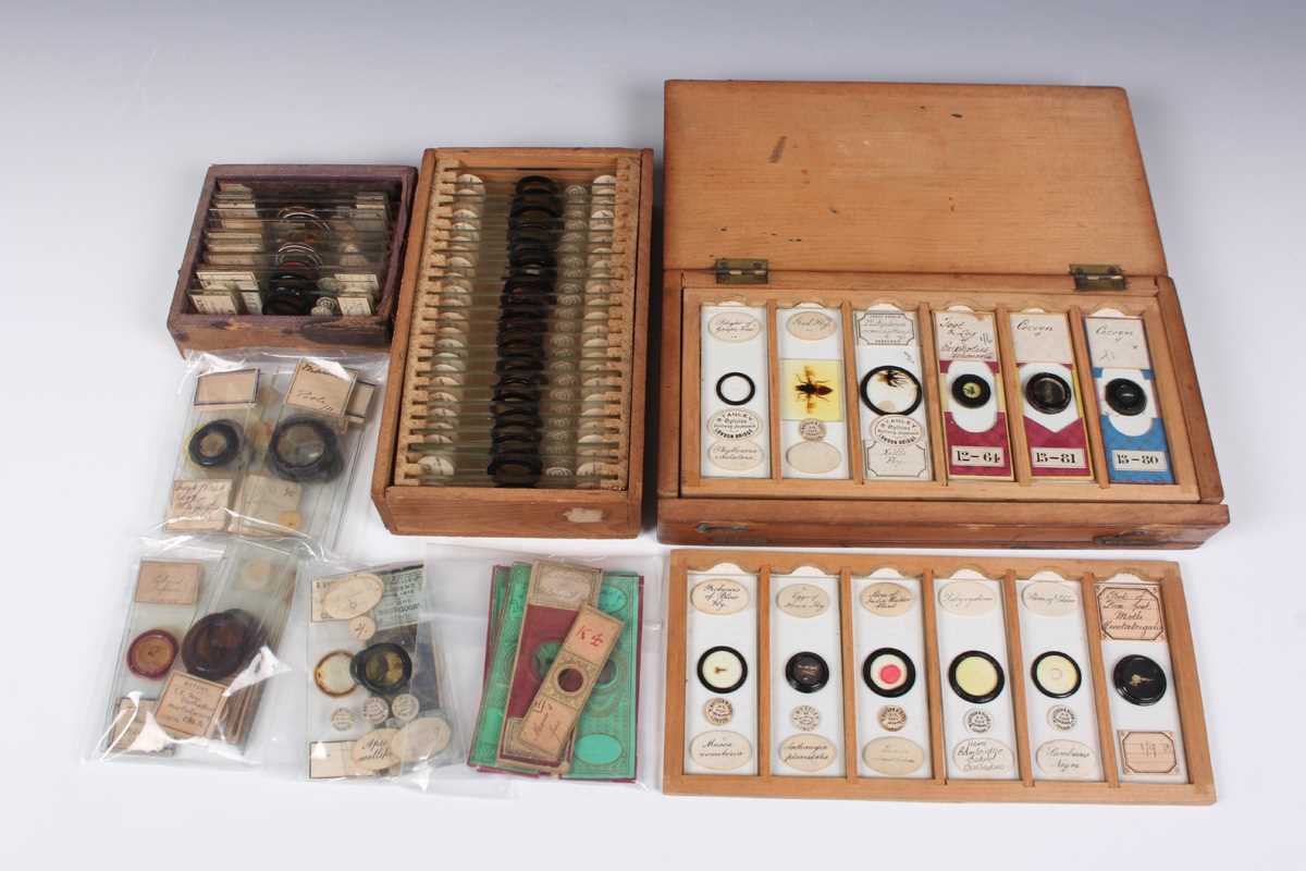 A collection of ninety-seven microscope specimen slides, late Victorian and later, including - Image 26 of 26