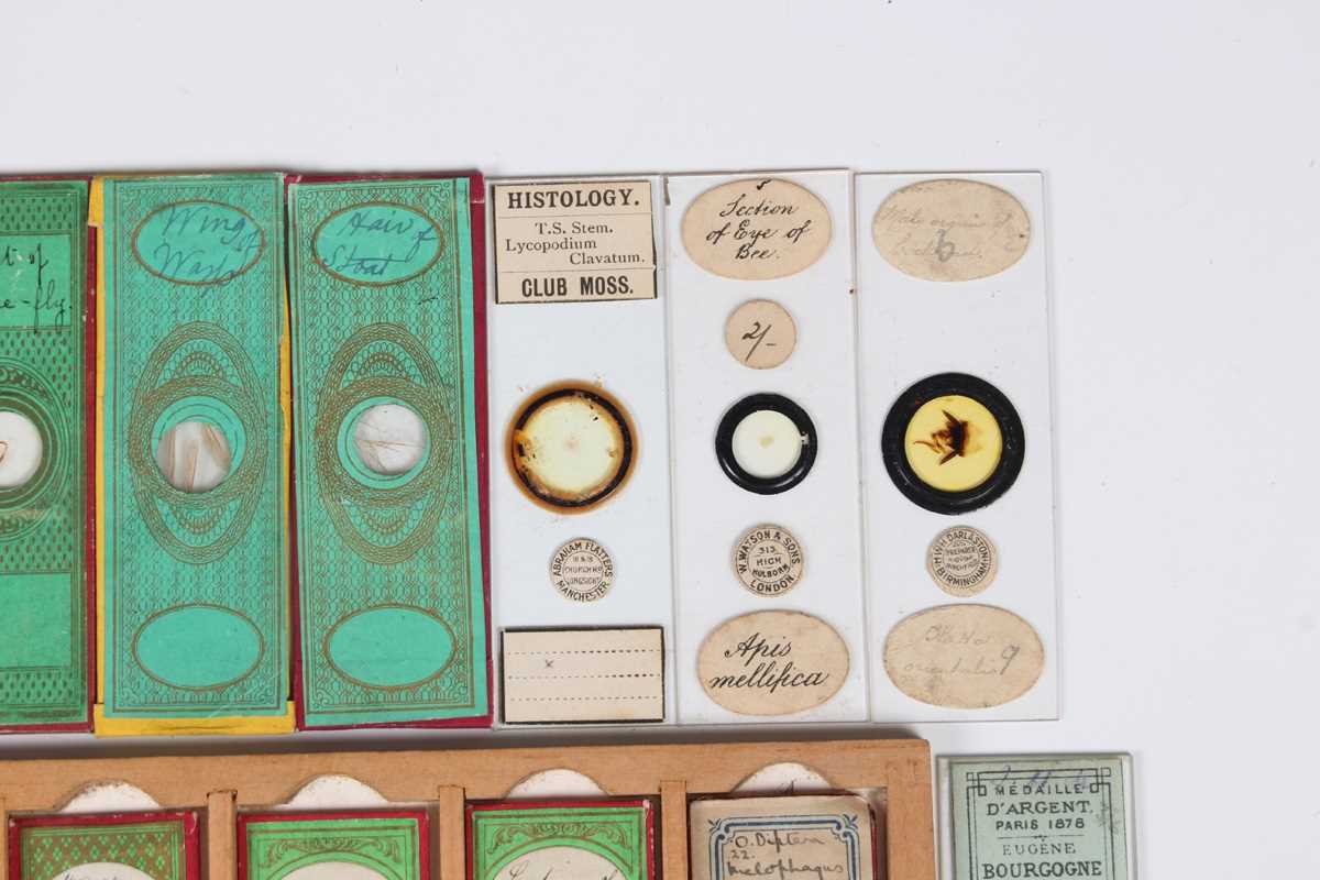 A collection of ninety-seven microscope specimen slides, late Victorian and later, including - Image 8 of 26