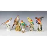 A Meissen model of a parrot, early 20th century, with polychrome plumage, perched on a treestump,