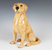 A Beswick Labrador from the Fireside Models range, No. 2314, height 34cm.
