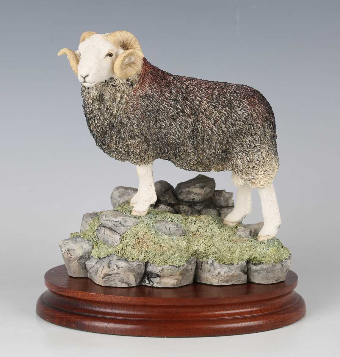 A Border Fine Arts Classic limited edition model Herdwick Tup, No. 701 of 750, modelled by Ayres,