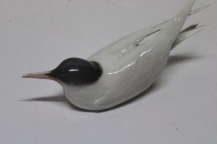 A Royal Copenhagen china figure of an Arctic tern No.