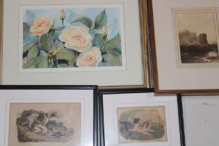 Artist Unknown - watercolour A study of roses;