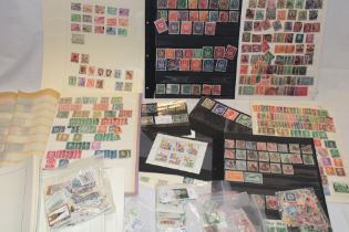 Various stock sheets and album pages of mixed German stamps including some early examples,