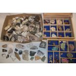 A display case and box containing a collection of mineral specimens including an unusual feldspar